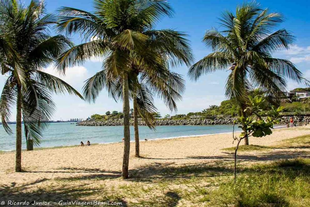 Imagem de coqueiros nas areias da Praia de Cambori em Vitória.